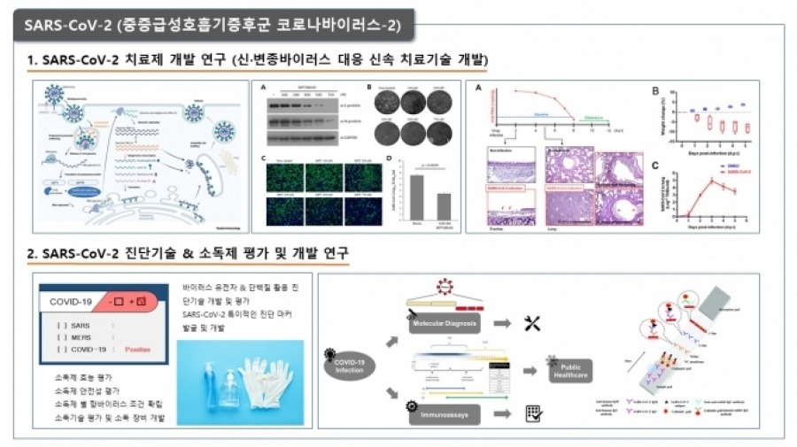 연구분야1