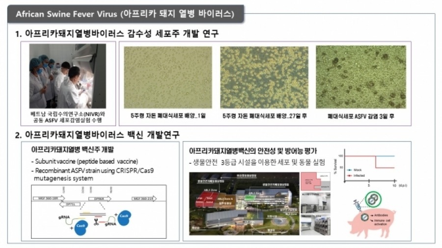 연구분야2