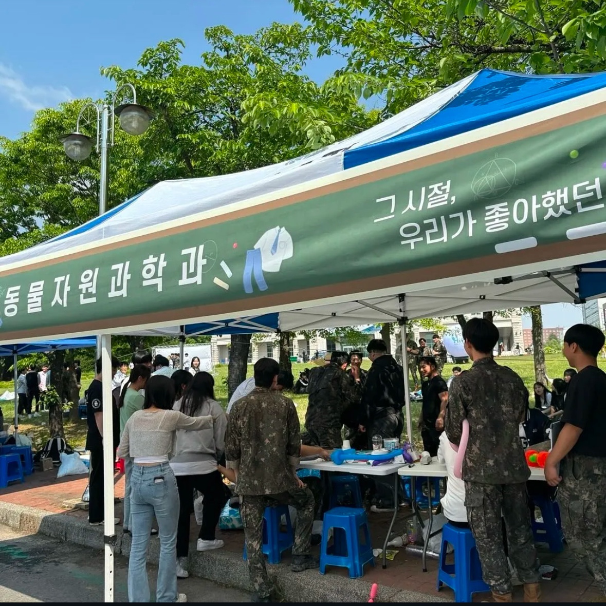 2024학년도 농업생명과학대학 축제-벚꽃제 2번째 첨부파일 이미지