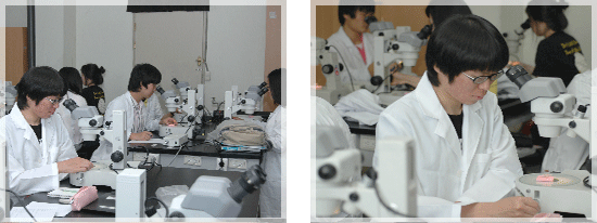 Agricultural Biology