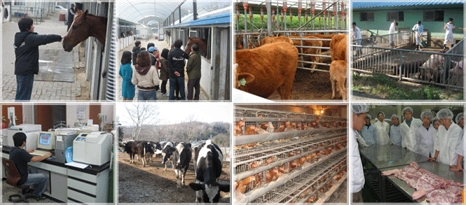 Animal Biotechnology