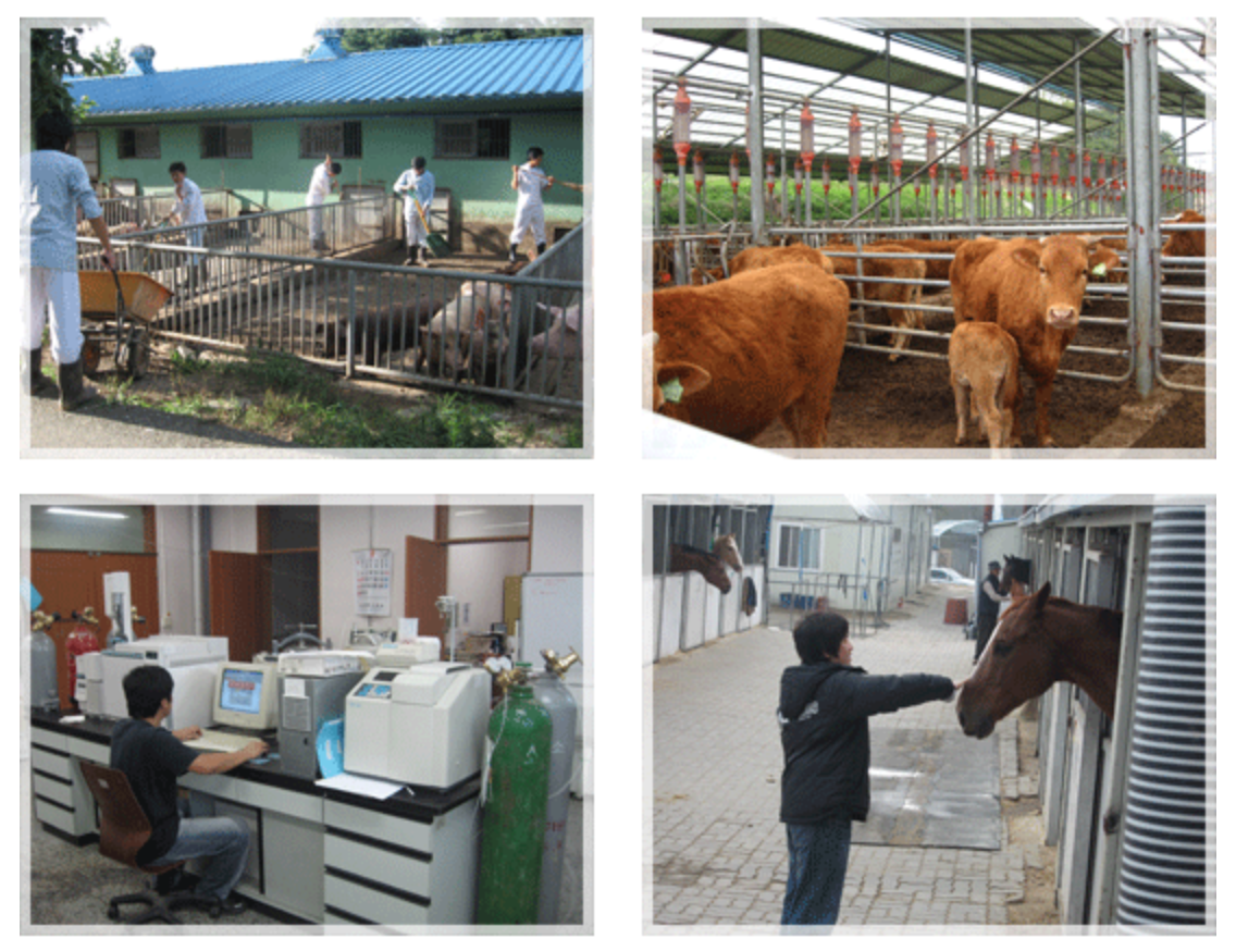 Animal Biotechnology