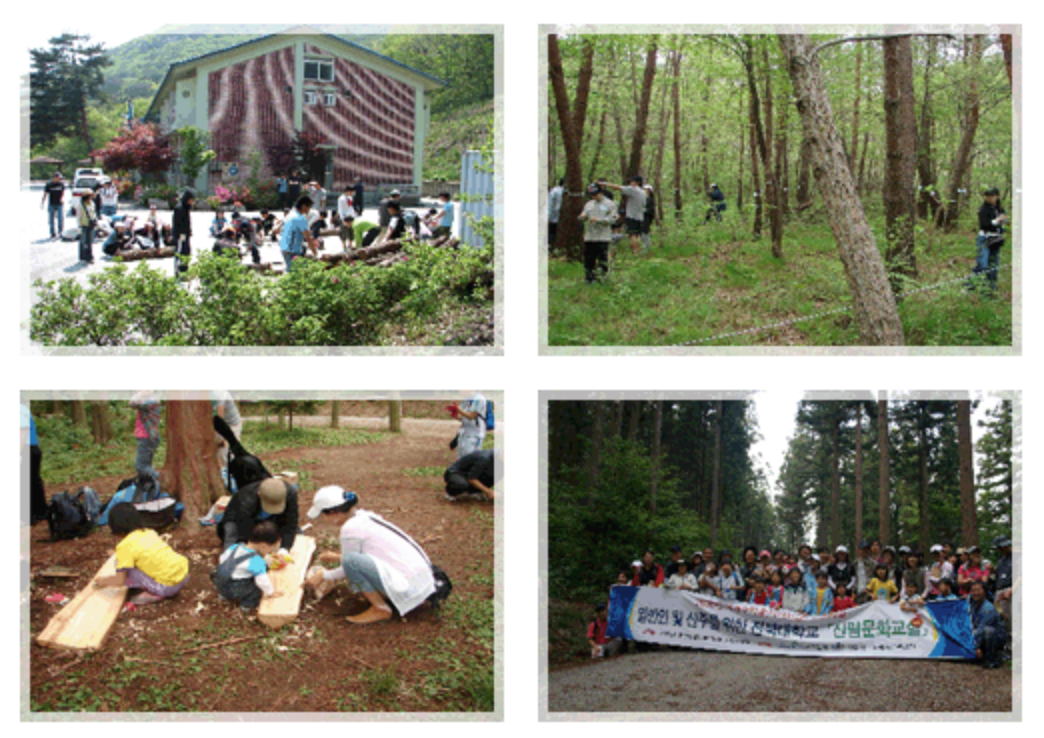 Forest Environmental Science