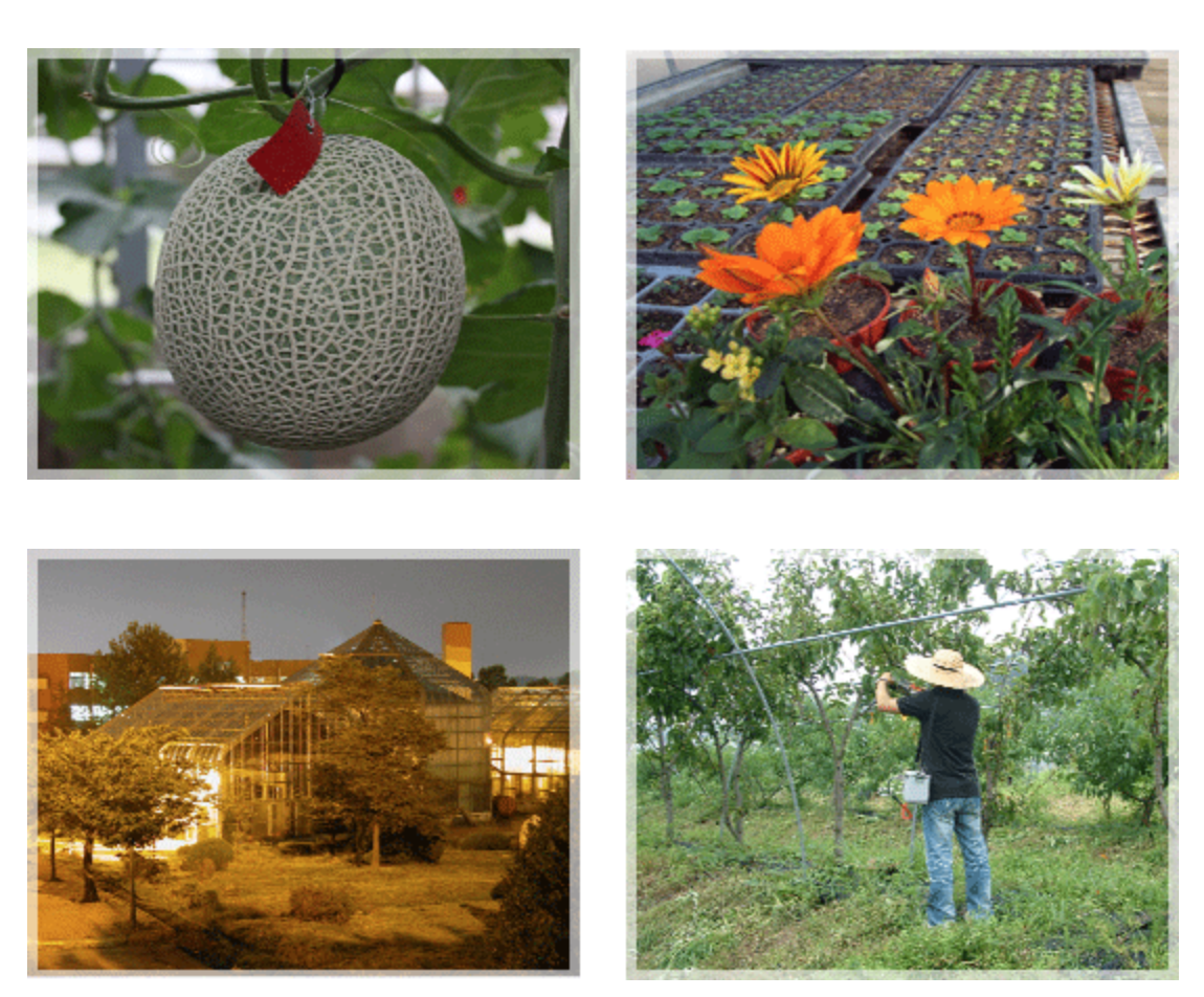 Horticultural Science