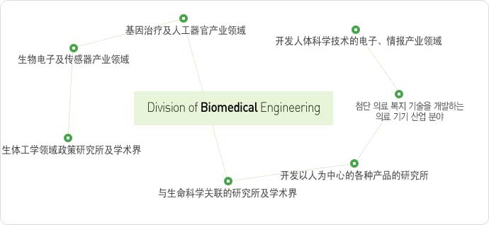 Division of Biomedical Engineering