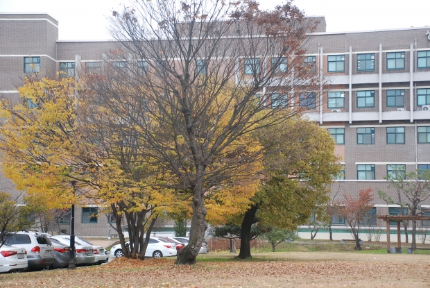 Division of Computer Science and Engineering