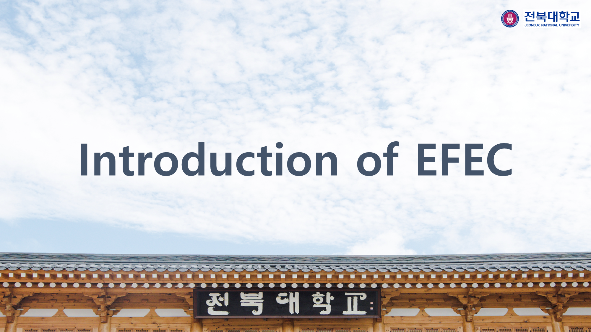 Research of EFEC