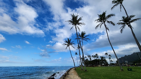 2024 PRTEC 참가 대표이미지