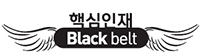 핵심인재 Black belt