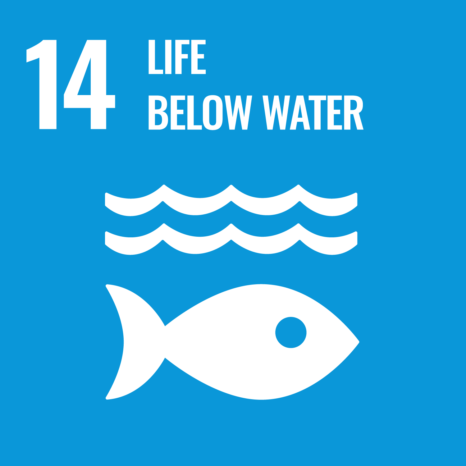 SDG 14: 해양 생태계 보전 (Life Below Water)