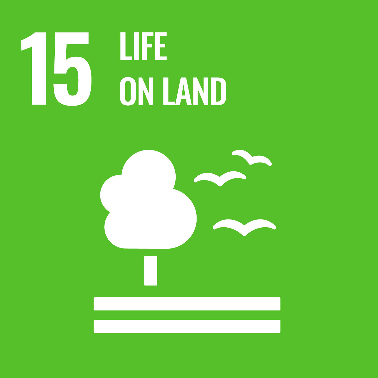 SDG 15: 육상 생태계 보전 (Life on Land)