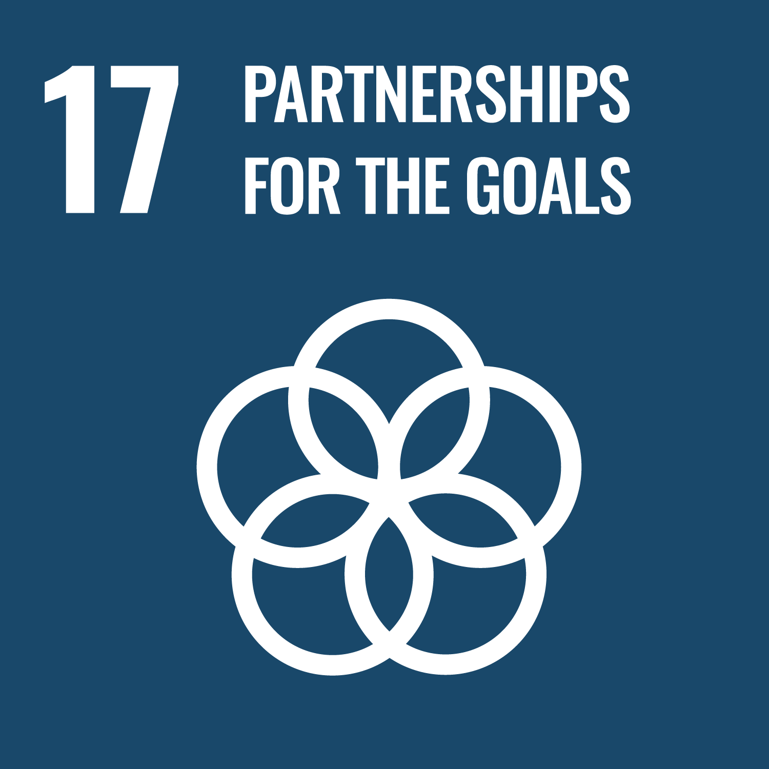 SDG 17: 글로벌 파트너십 (Partnerships for the Goals)