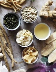 한약자원학과 사진