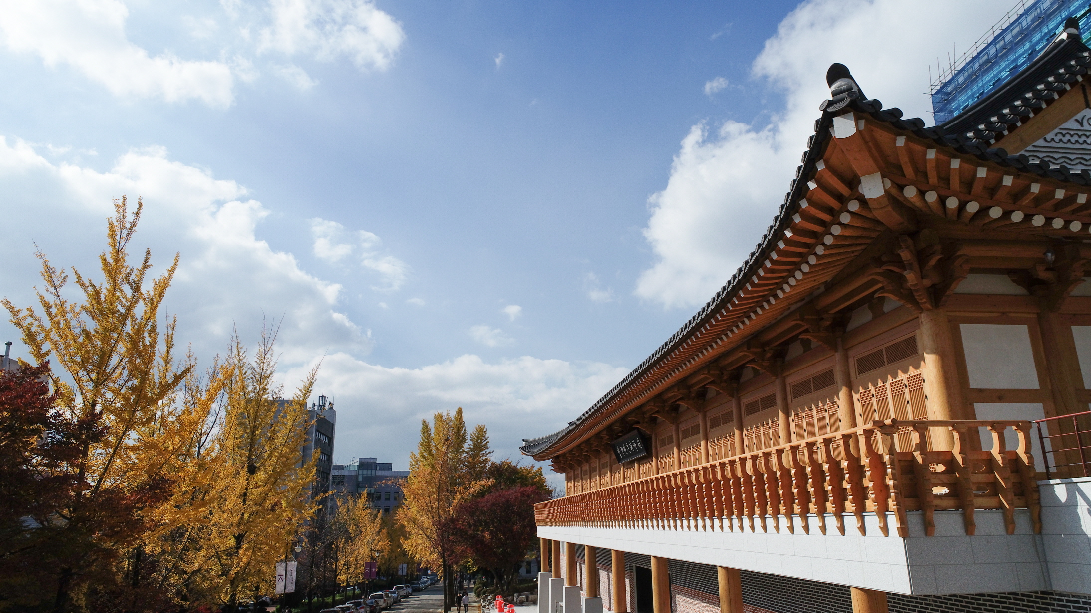 Whole view of Jeonbuk National University