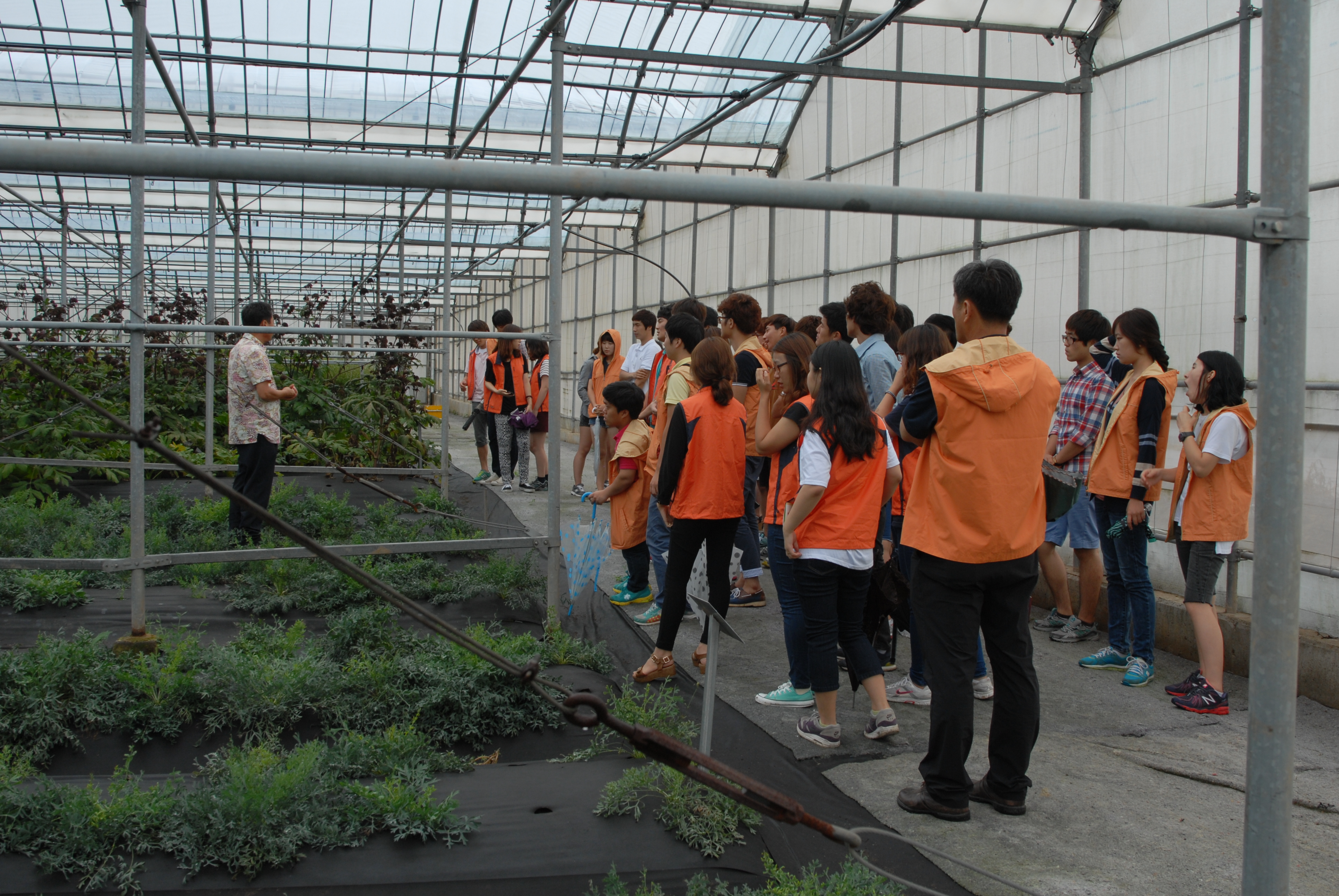 2012년도 농대미래전문농업경영인과정 현장견학(제주도) 2번째 첨부파일 이미지