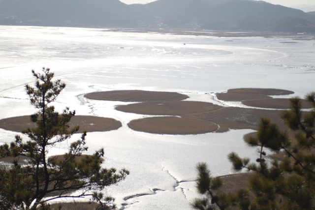 2010년 한국원예학회 호남지회 학술대회 4번째 첨부파일 이미지