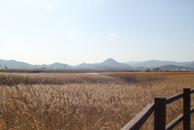 2010년 한국원예학회 호남지회 학술대회 5번째 첨부파일 이미지