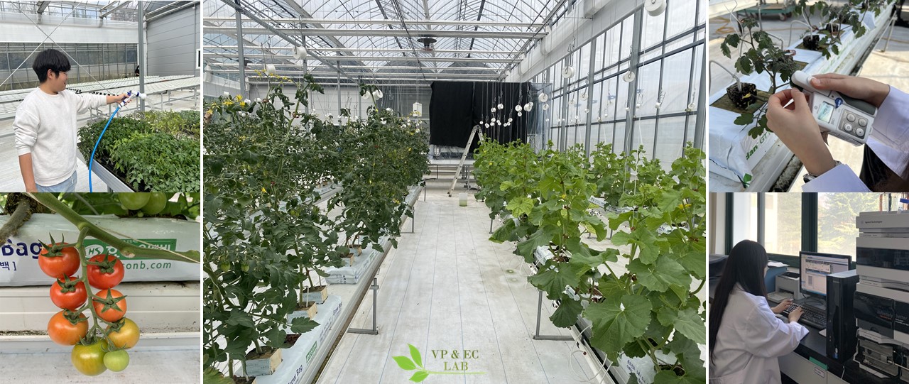 채소원예학연구실 사진