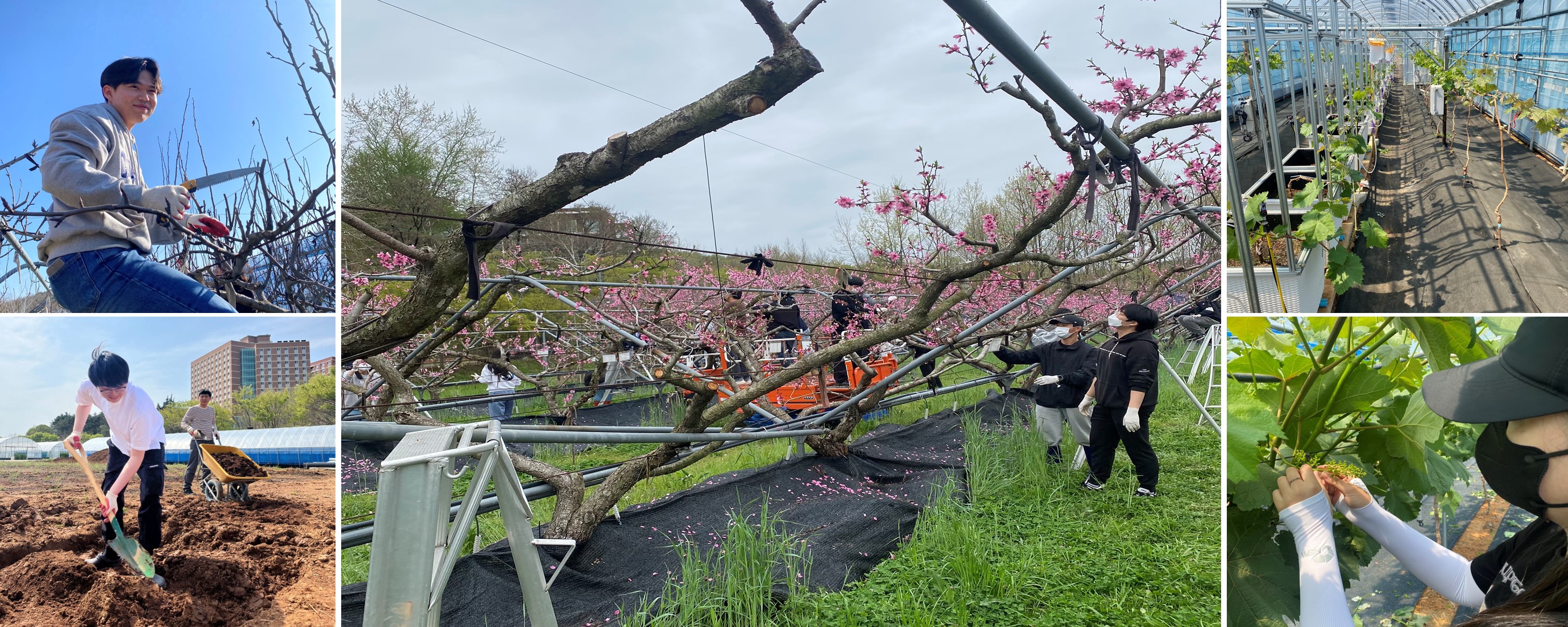 과수원예학실험실