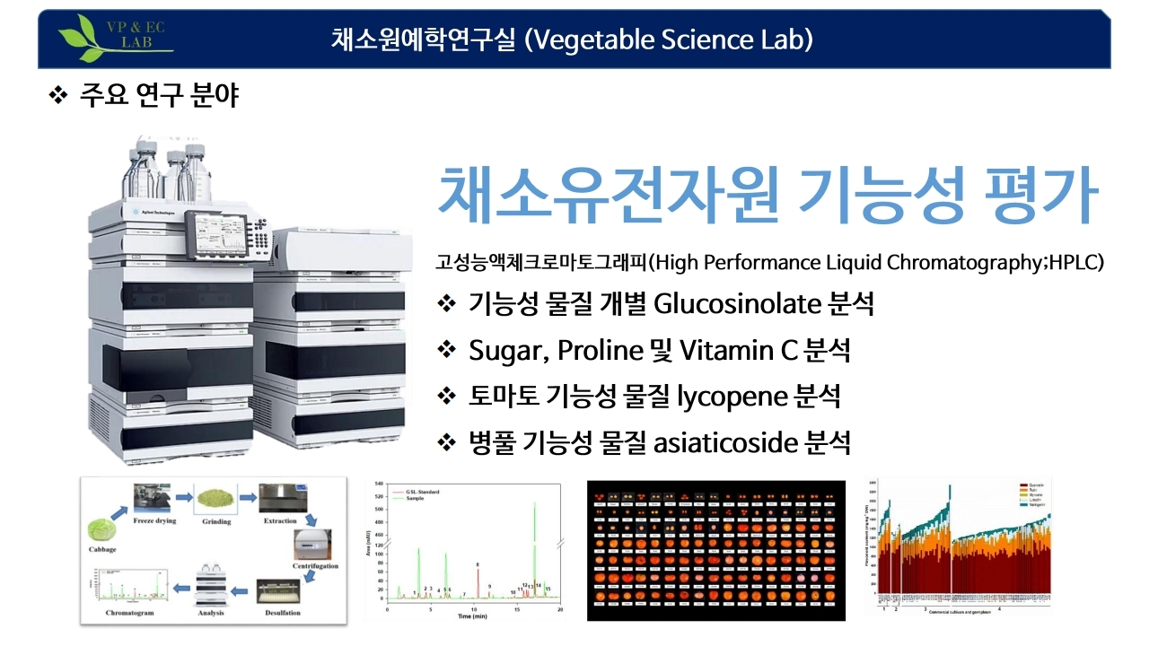 채소원예학연구실 소개1