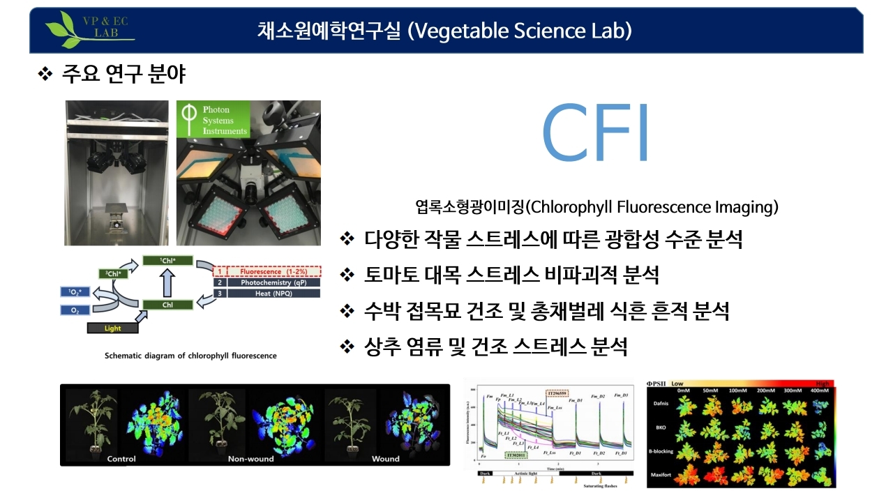 채소원예학연구실 소개2
