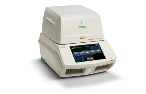 중합효소연쇄반응(PCR) 최적화제품 사진