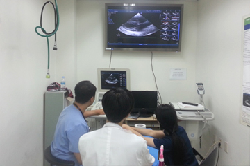 Echocardiography