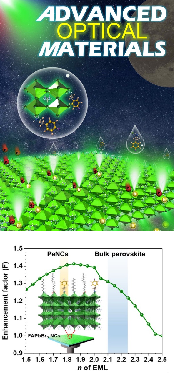 (175)_[2023] "Optical Engineering of FAPbBr3 Nanocrystals via Conjugated Ligands for Light-Outcoupling Enhancement in Perovskite Light-Emitting Diodes" S. He, H.B. Lee, K.-J. Ko, N. Kumar, J.-H. Jang, S.-O. Cho, M. Song, W. Zhou, B.-J. Lee, J.-H. Lee* and J.-W. Kang*  Adv. Opt. Mater. 11, 2300486 (2023) 대표이미지