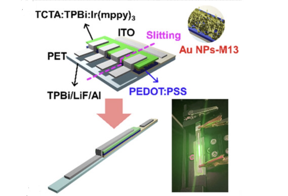 (185)_[2024]  "Novel Strategy towards Efficiency Enhancement of Flexible Optoelectronic Devices with Engineered M13 Bacteriophage" J.H. Kim, G. Kim, S.-J. Kim, Y.B. Kim, J.-W. Kang, J.W. Choi,* J.-W. Oh* and M. Song* Small Structure, 5, 2400007 (2024) 대표이미지