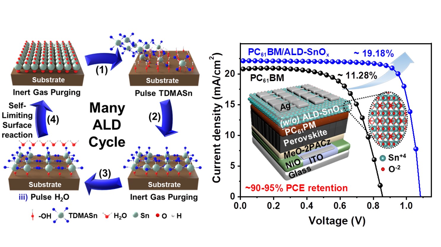 (196)_[2026] "Low-Temperature ALD-Grown SnOx Interlayer for Scalable and Stable p-i-n Perovskite Solar Cells and Modules" A. Mohamed, H.B. Lee, V.V. Satale, K.-J. Ko, B. Tyagi, D.-H. Kim, J.-W. Kang*  Sustainable Energy & Fuels, 10, 245–257 (2026) 대표이미지