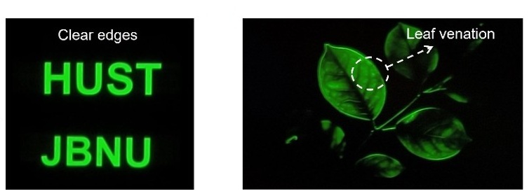 (198)_[2026] "Light management in perovskite quantum dot light-emitting diodes for active-matrix display" S. He, H. Xie, X. Zhang, W. Zhou, L. Qin, J.-W. Kang*, J. Luo*,  ACS Energy Letters, In Submission (2025. 11. 22) 대표이미지
