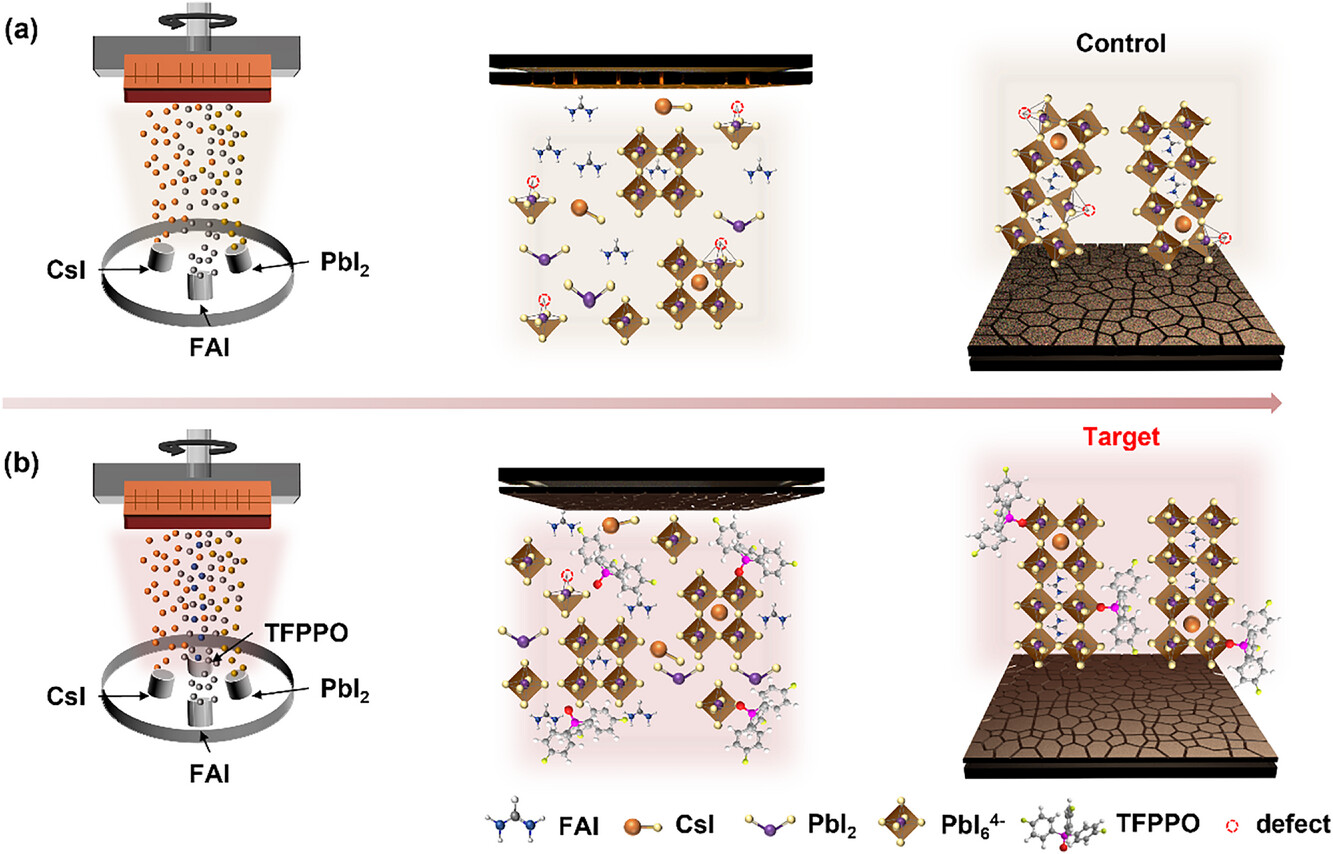 (199)_[2026] "In Situ Evaporated Phosphine Oxide Bifunctional Additive for Efficient Vacuum-Deposited Near-Infrared Perovskite Light-Emitting Diodes" L. Qin, X. Zhang, W. Zhou,  J.-W. Kang, S. He*, J. Luo*, Advanced Optical Materials, In Press (2025. 11. 20) 대표이미지