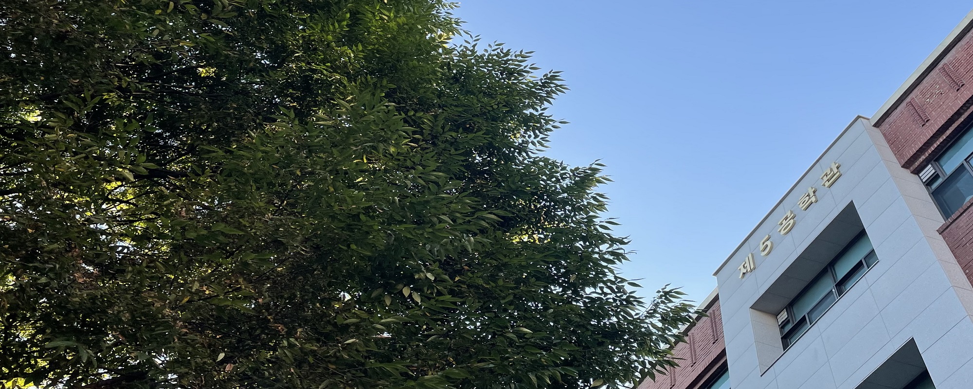 5호관 전경