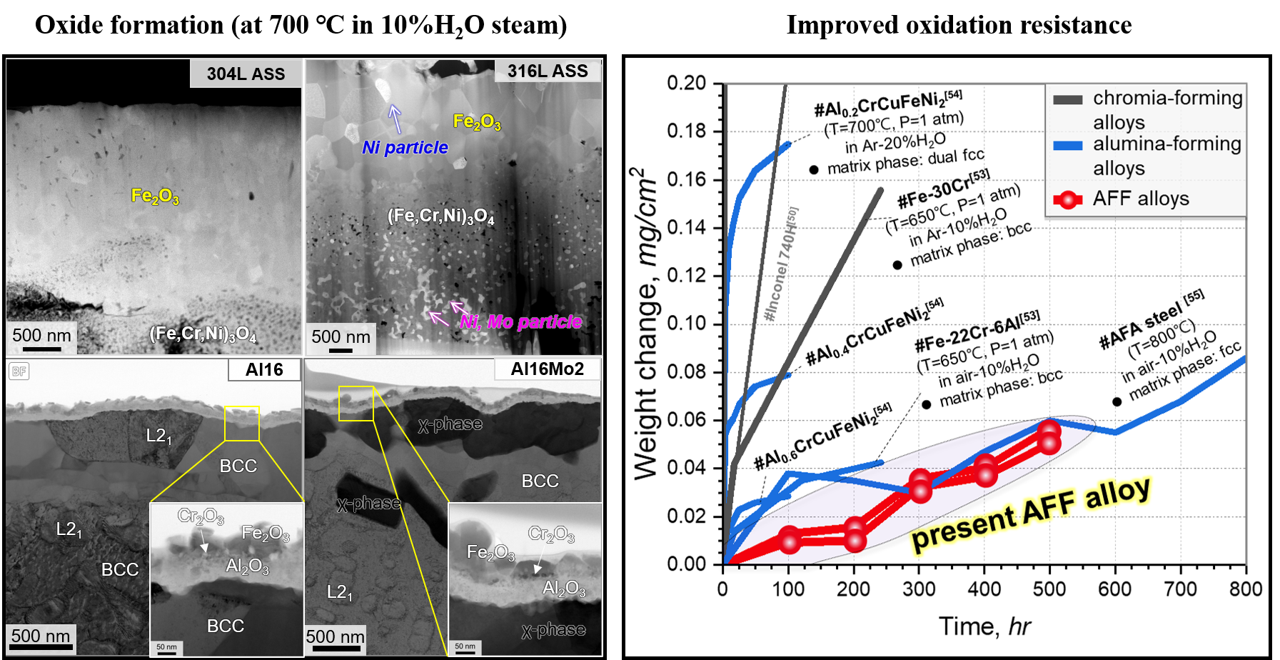 Excellent oxidation resistance of Alumina-forming ferritic (AFF) alloy 대표이미지