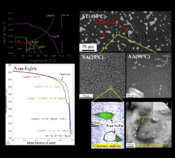 Precipitation-strengthened Al-Sn bearing alloy 대표이미지