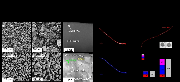 Microstructure engineering of high-entropy alloy 대표이미지