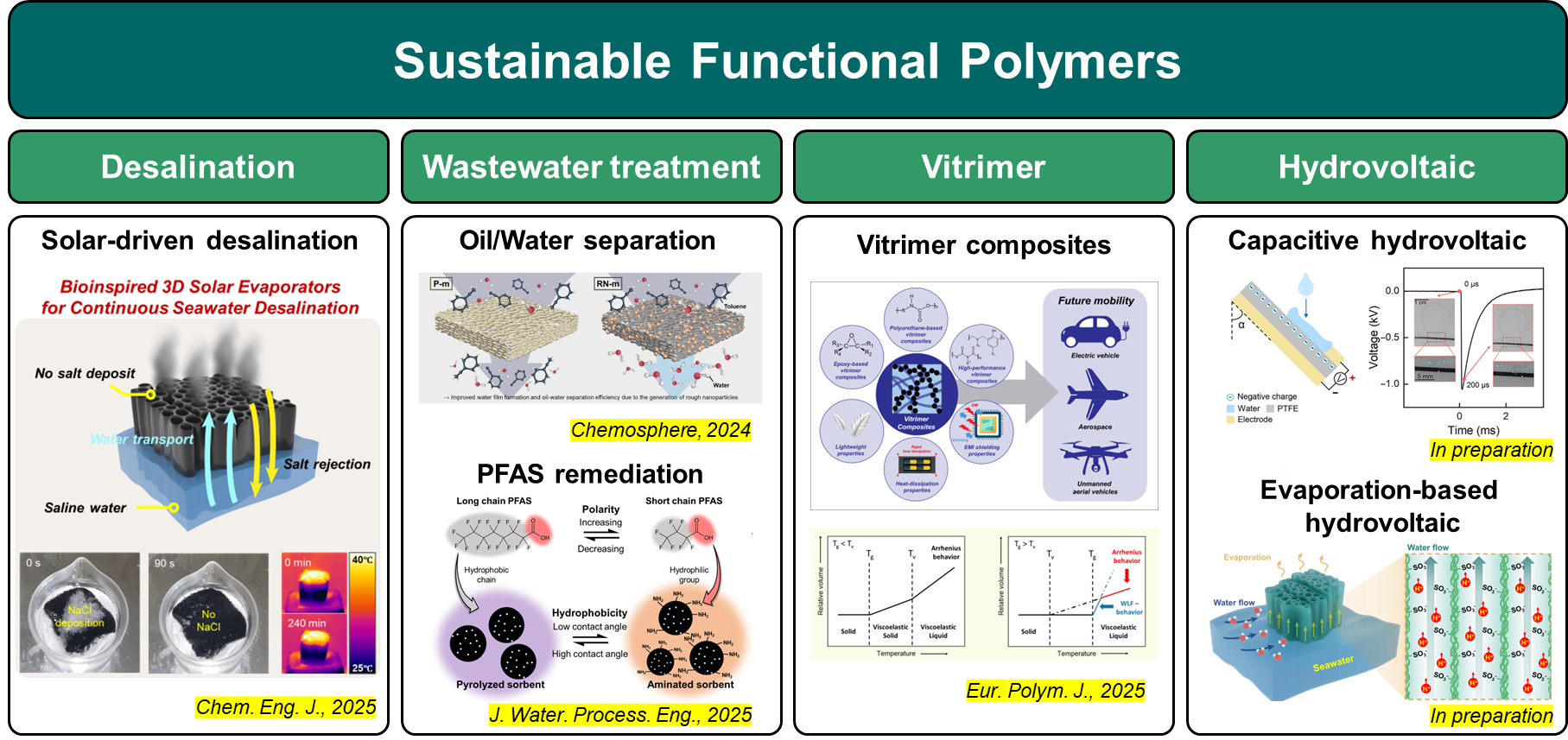 Sustainable Functional Polymers