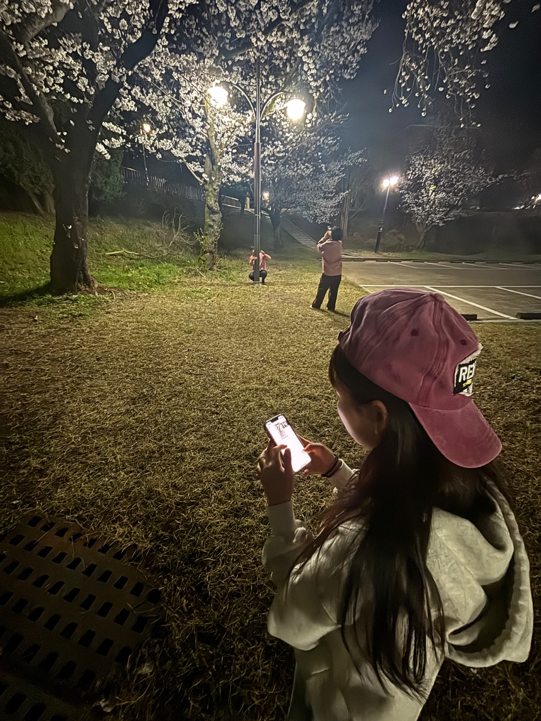 24년 사회학과 벚꽃모임 10번째 첨부파일 이미지