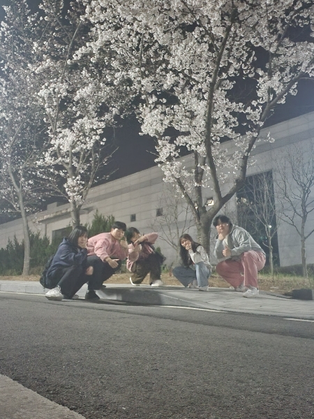 24년 사회학과 벚꽃모임 대표이미지