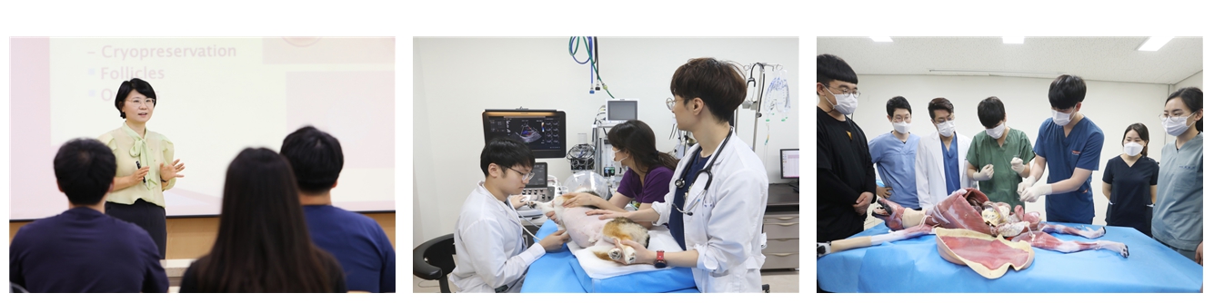 수의대학생 수업사진입니다.